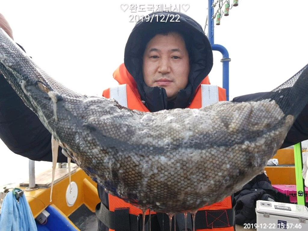 낚시뚜,쭈꾸미,완도항,완도국제낚시,낚시뚜7