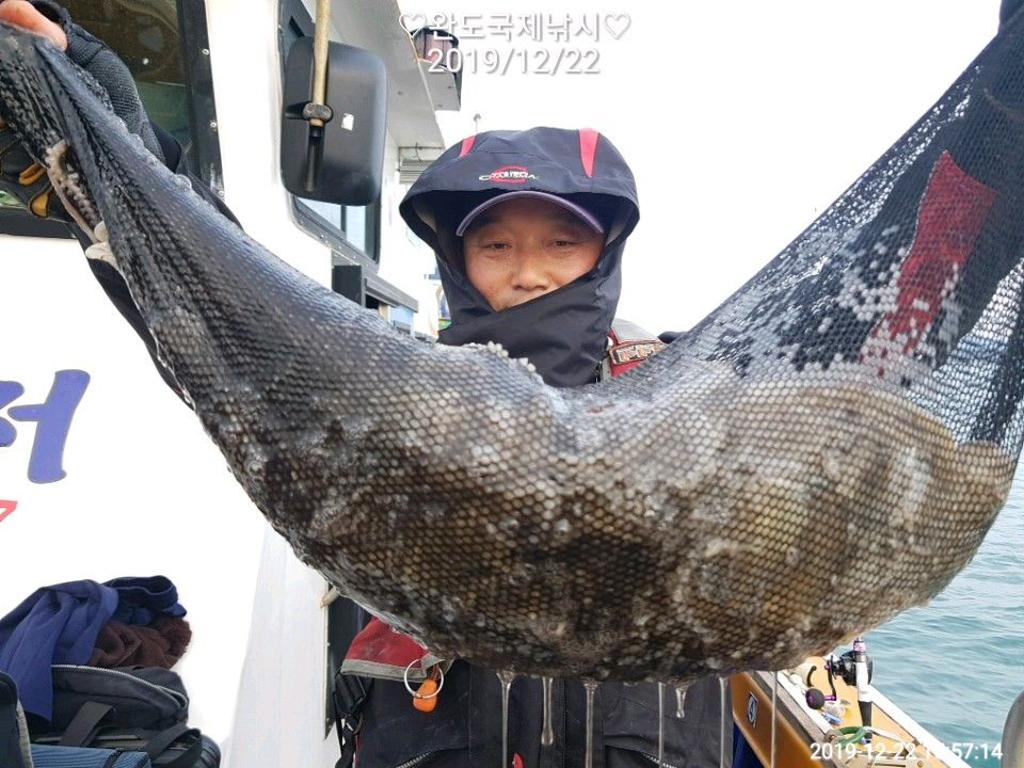 낚시뚜,쭈꾸미,완도항,완도국제낚시,낚시뚜6