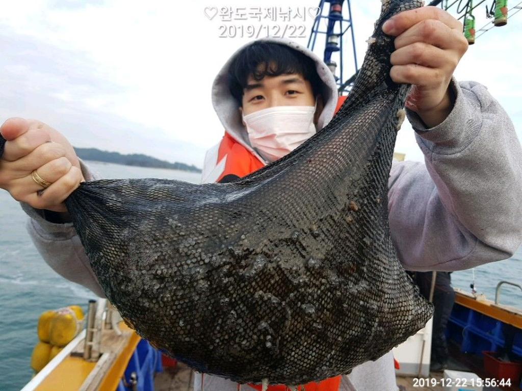 낚시뚜,쭈꾸미,완도항,완도국제낚시,낚시뚜5