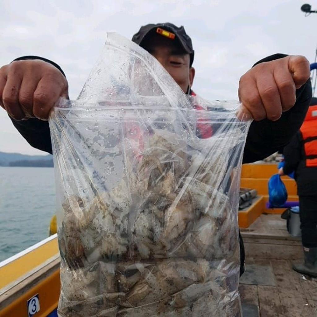 낚시뚜,쭈꾸미,완도항,완도국제낚시,낚시뚜3