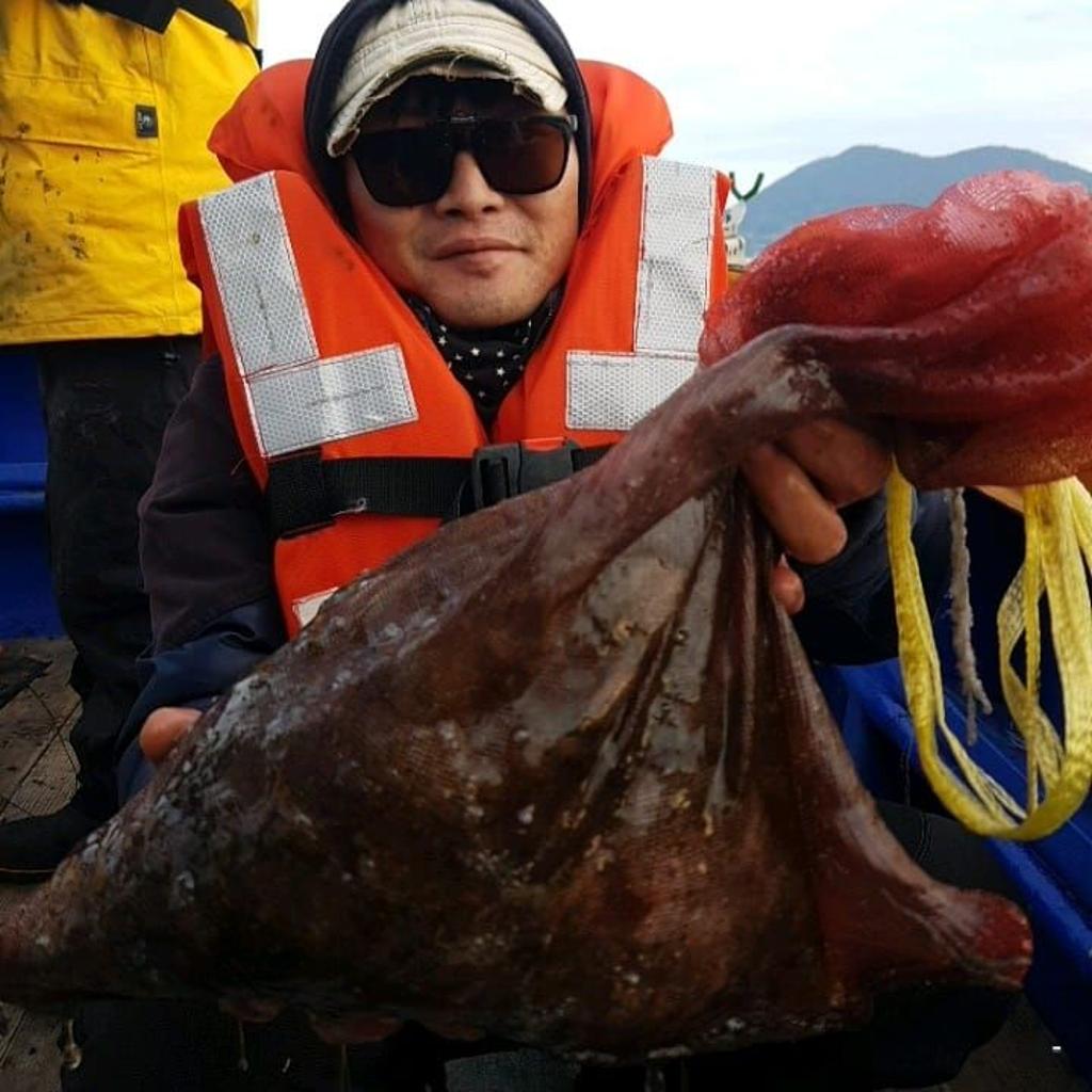 낚시뚜,쭈꾸미,완도항,완도국제낚시,낚시뚜4