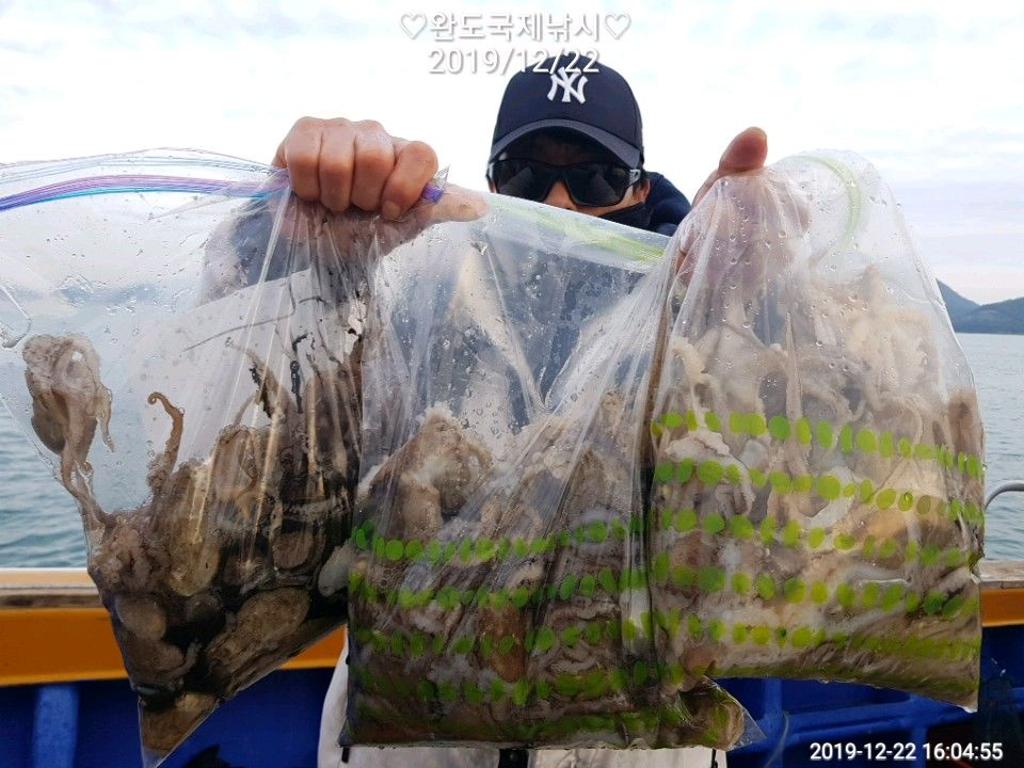 낚시뚜,쭈꾸미,완도항,완도국제낚시,낚시뚜2