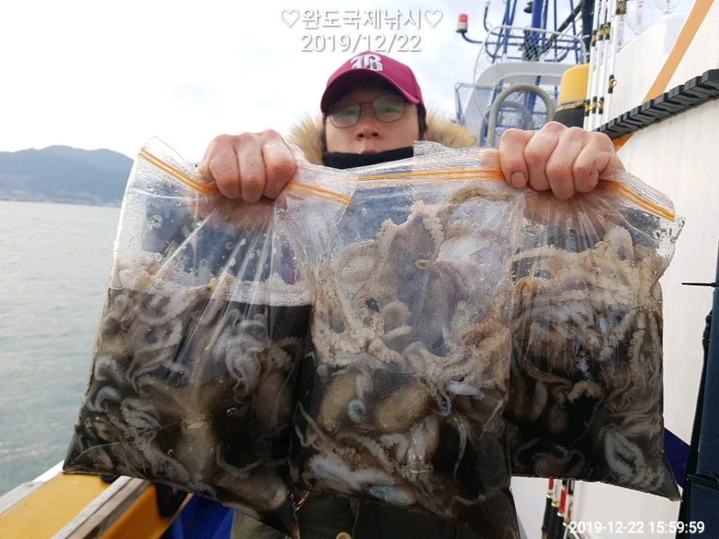 낚시뚜,쭈꾸미,완도항,완도국제낚시,낚시뚜1