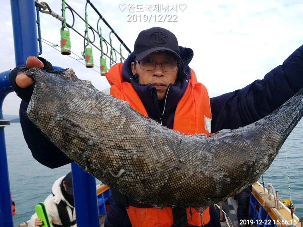 낚시뚜,쭈꾸미,완도항,완도국제낚시,낚시뚜0