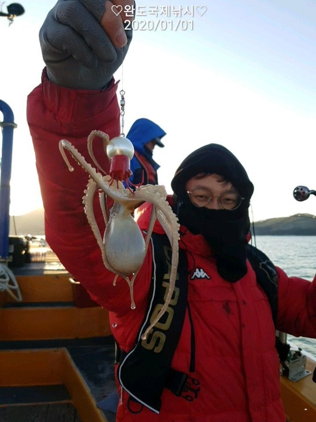 낚시뚜,쭈꾸미,완도항,완도국제낚시,낚시뚜12