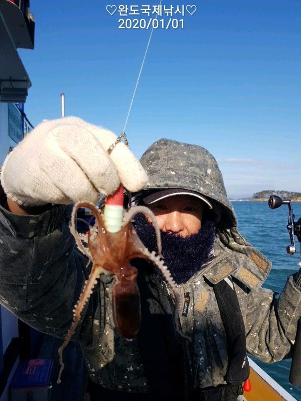 낚시뚜,쭈꾸미,완도항,완도국제낚시,낚시뚜5