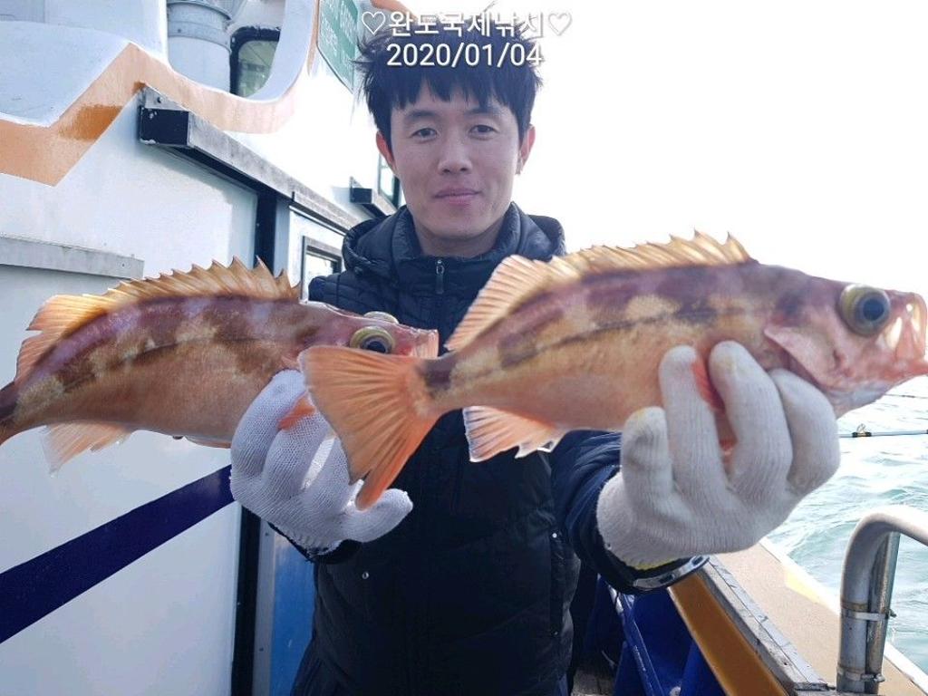 낚시뚜,열기,완도항,완도국제낚시,낚시뚜15