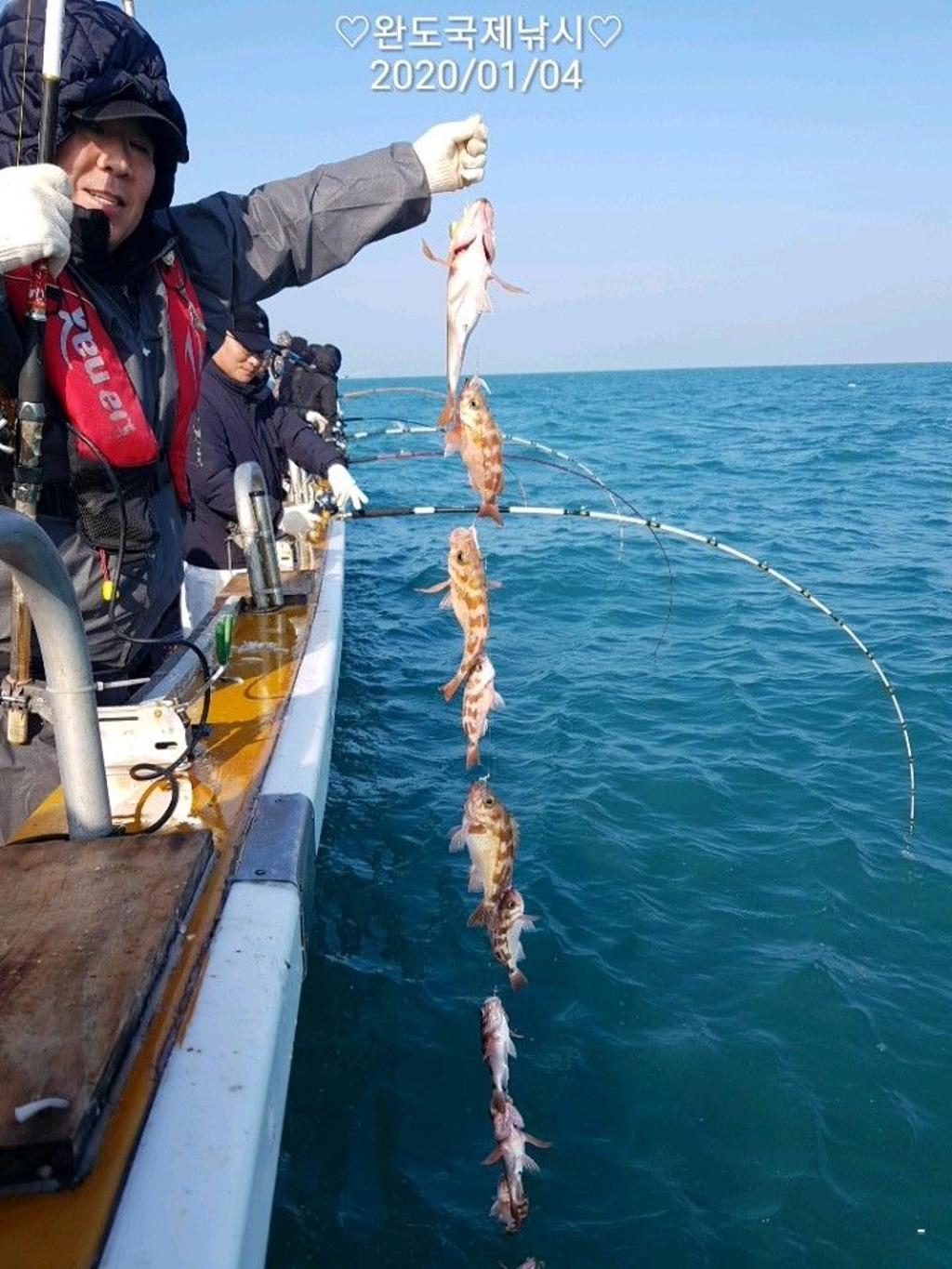 낚시뚜,열기,완도항,완도국제낚시,낚시뚜8