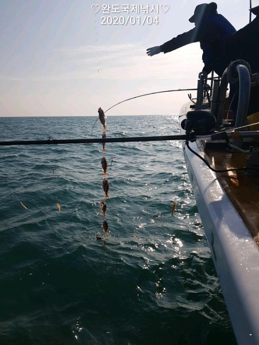 낚시뚜,열기,완도항,완도국제낚시,낚시뚜7