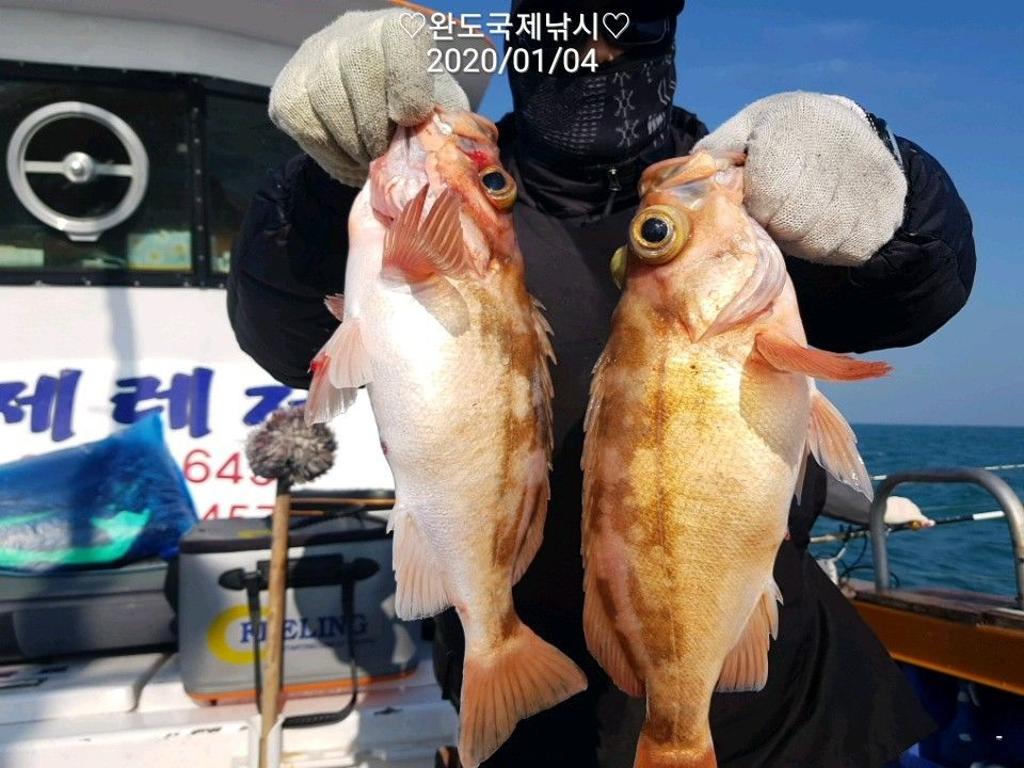 낚시뚜,열기,완도항,완도국제낚시,낚시뚜2