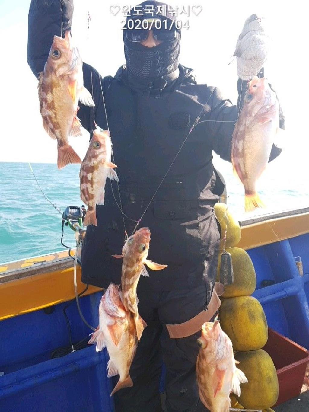 낚시뚜,열기,완도항,완도국제낚시,낚시뚜0