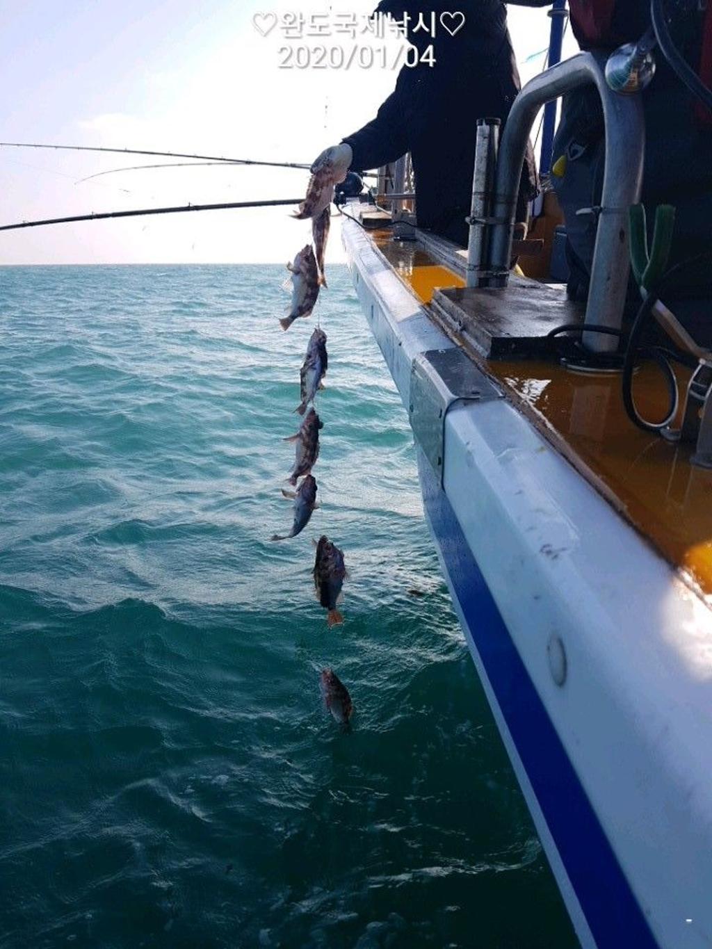 낚시뚜,열기,완도항,완도국제낚시,낚시뚜6