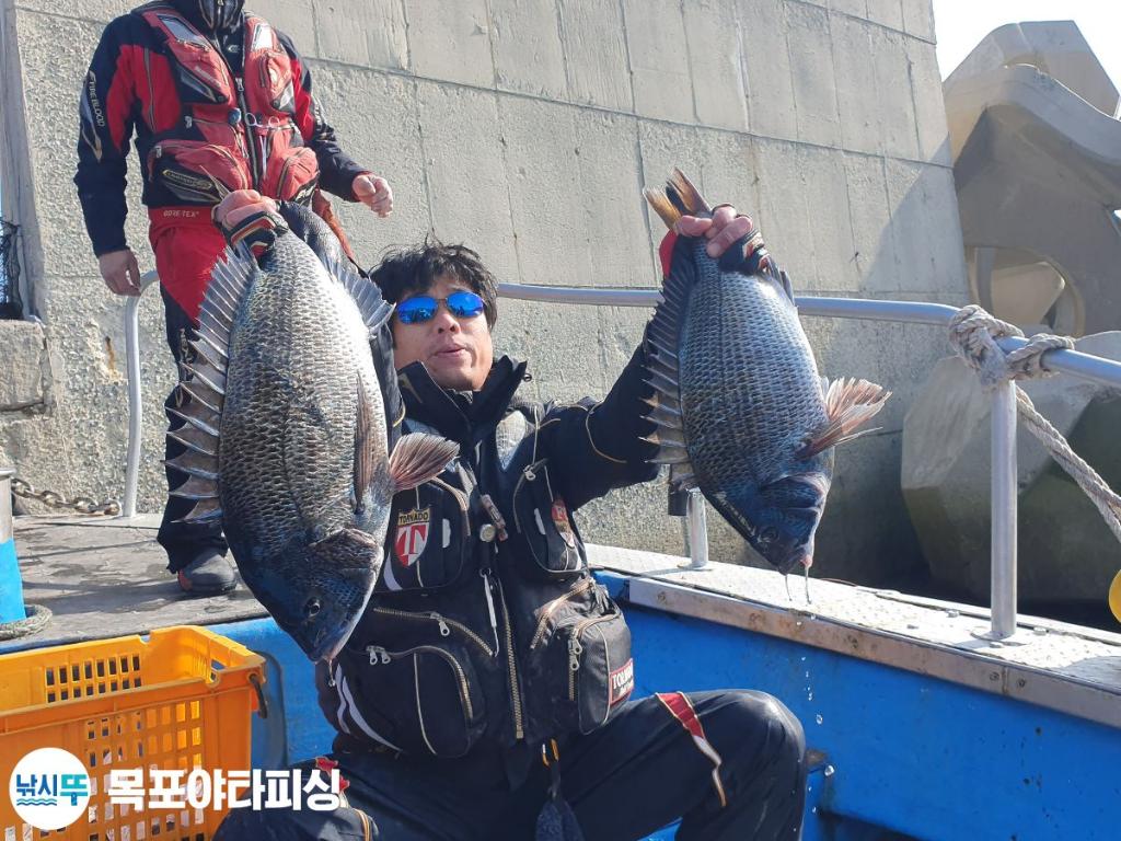 낚시뚜,감성돔,북항(목포),목포도다리낚시 야타피싱,낚시뚜4