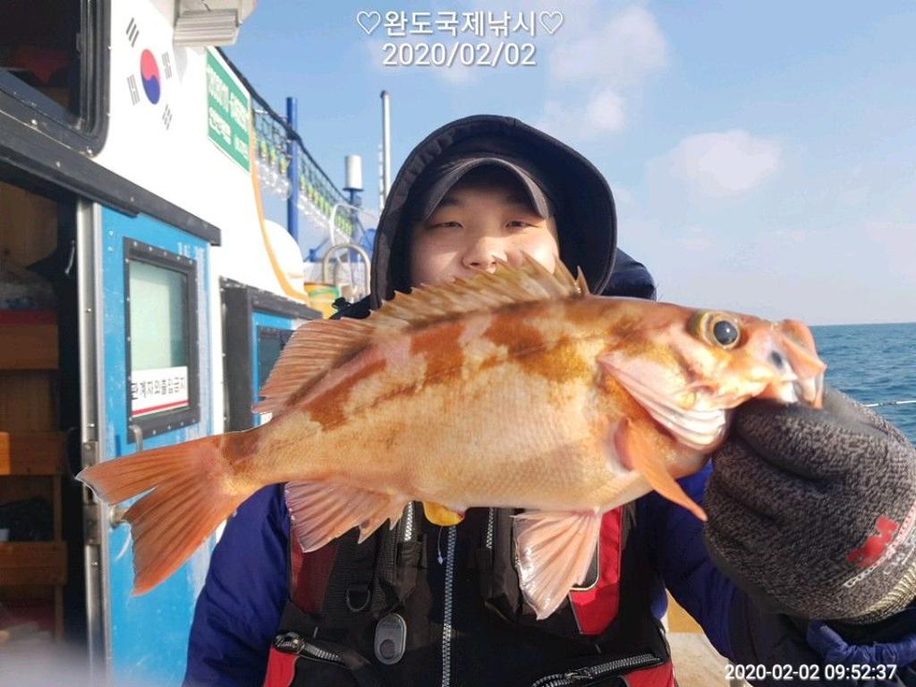 낚시뚜,열기,완도항,완도국제낚시,낚시뚜6