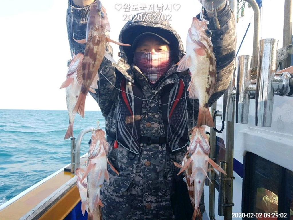 낚시뚜,열기,완도항,완도국제낚시,낚시뚜4