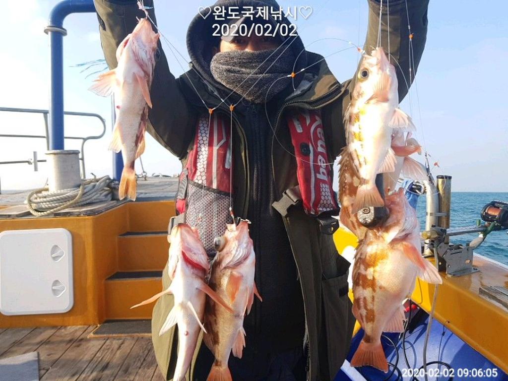 낚시뚜,열기,완도항,완도국제낚시,낚시뚜3