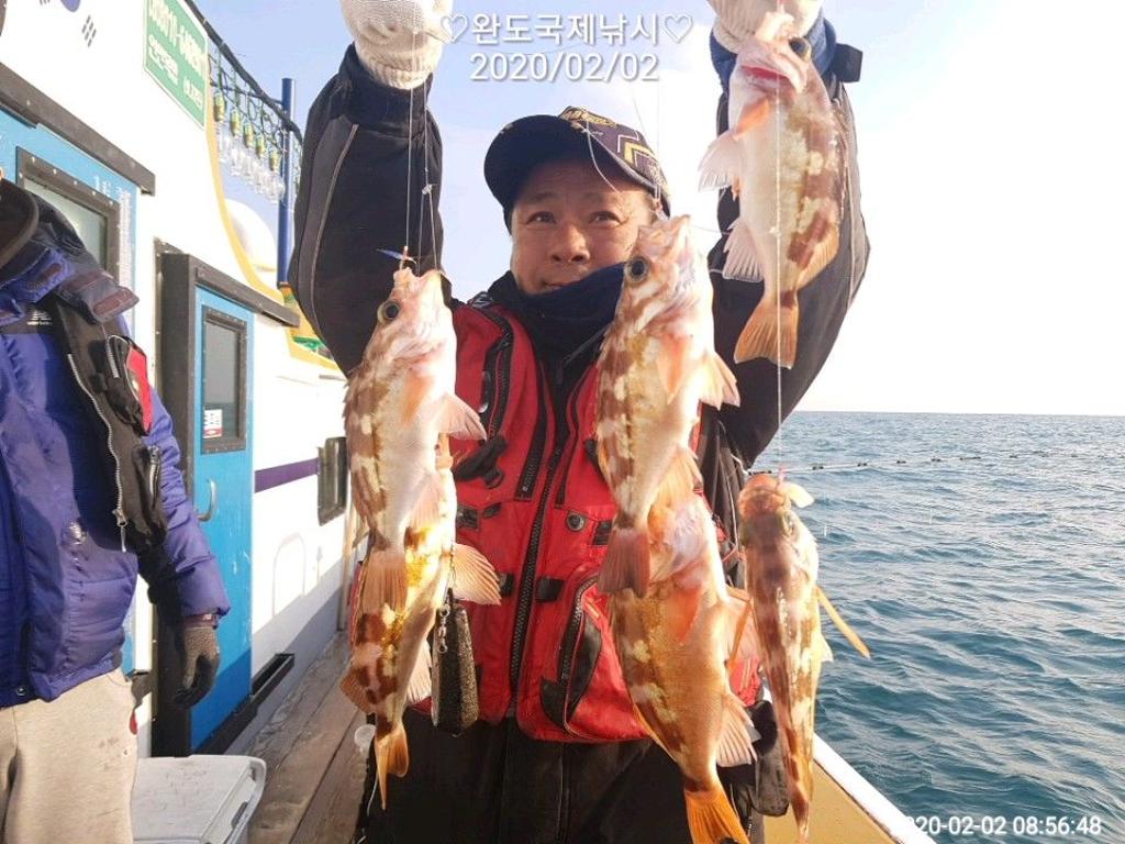 낚시뚜,열기,완도항,완도국제낚시,낚시뚜2