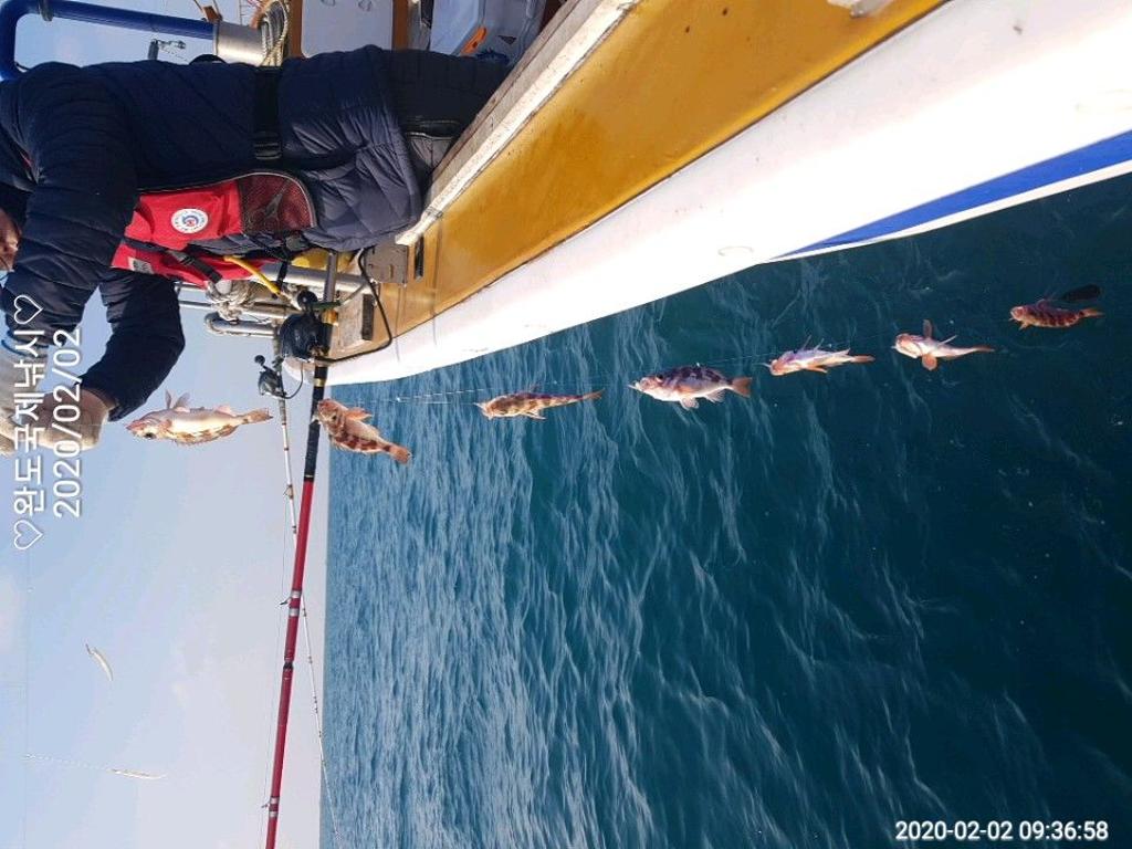 낚시뚜,열기,완도항,완도국제낚시,낚시뚜8