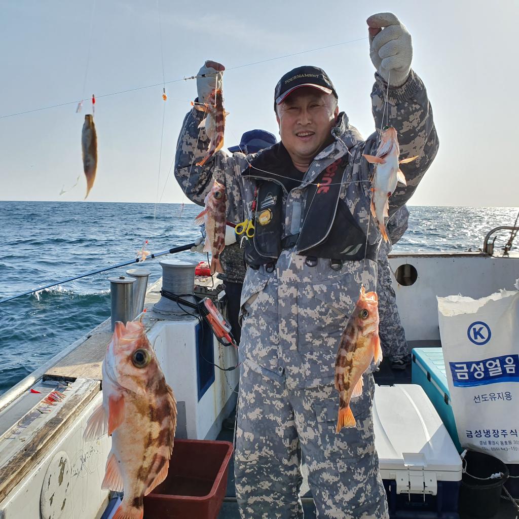 낚시뚜,기타 어종,대포항(거제),뉴거제호,낚시뚜43