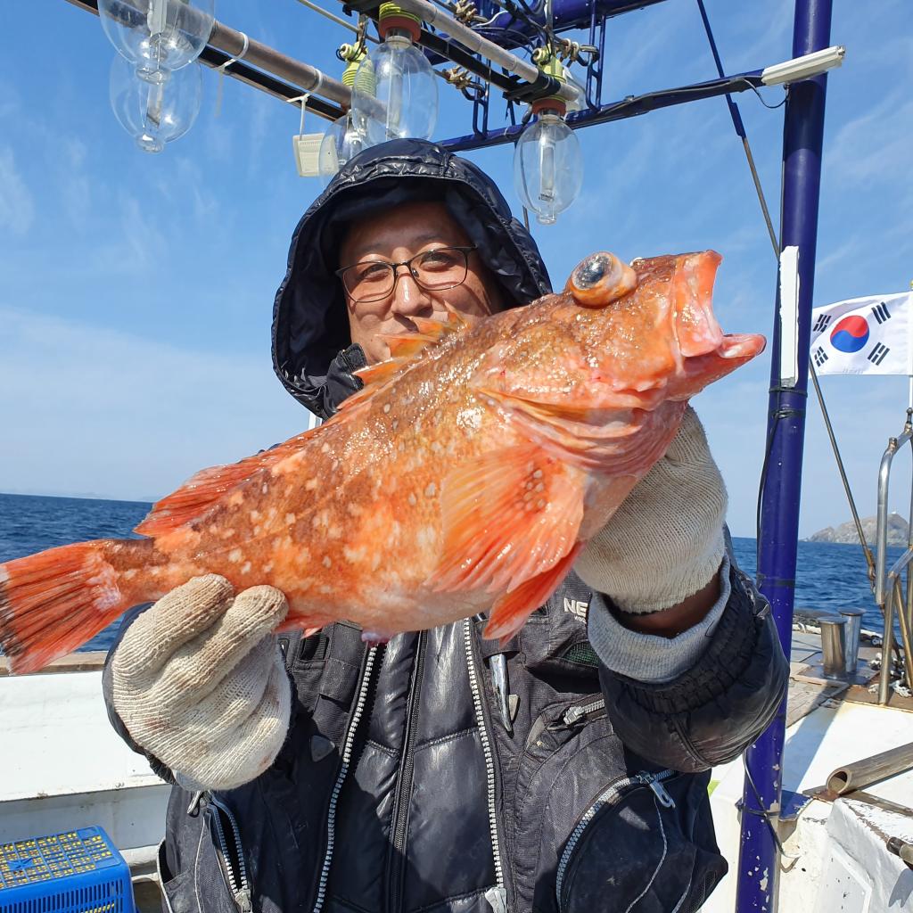 낚시뚜,기타 어종,대포항(거제),뉴거제호,낚시뚜29