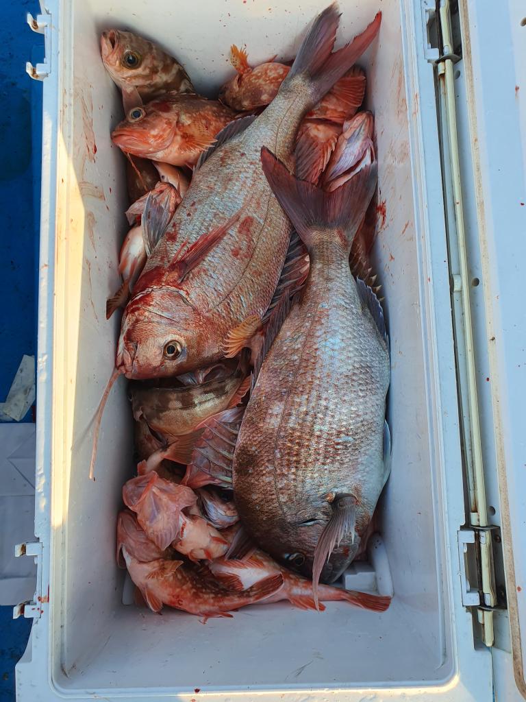 낚시뚜,,서망항,뻥쟁이호,낚시뚜0