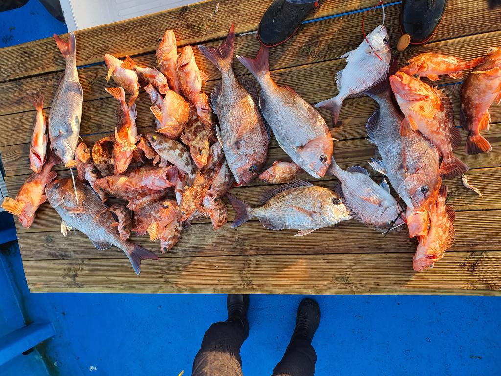 낚시뚜,,서망항,뻥쟁이호,낚시뚜2