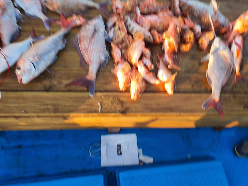 낚시뚜,,서망항,뻥쟁이호,낚시뚜3