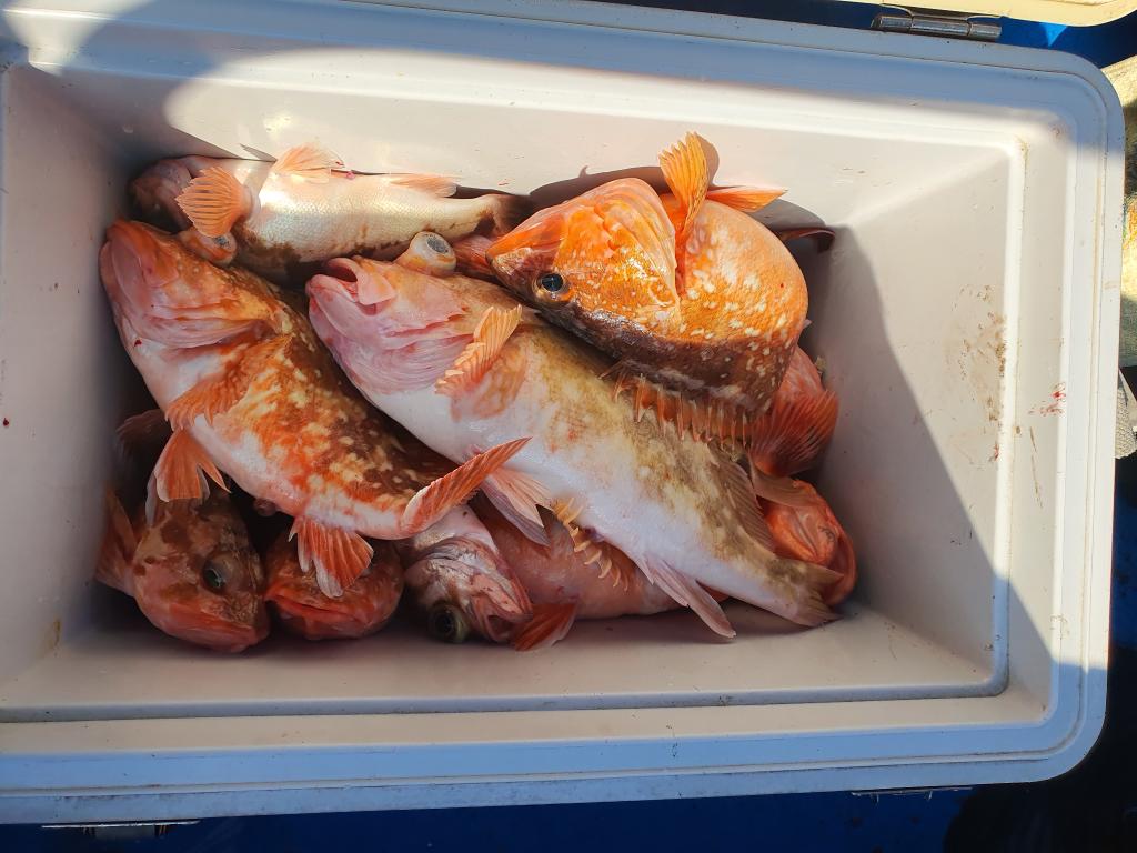 낚시뚜,,서망항,뻥쟁이호,낚시뚜5