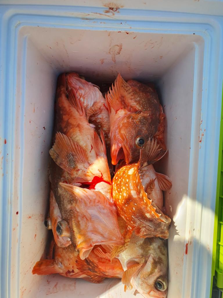 낚시뚜,,서망항,뻥쟁이호,낚시뚜7