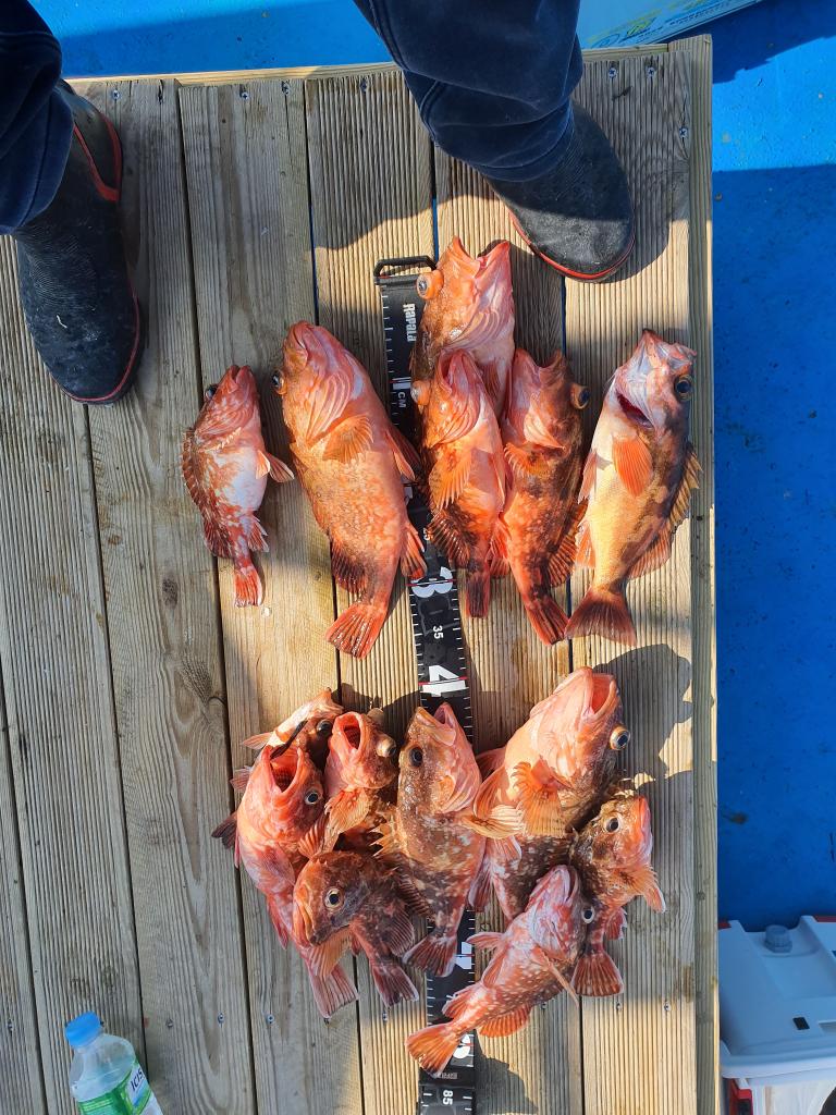 낚시뚜,,서망항,뻥쟁이호,낚시뚜8