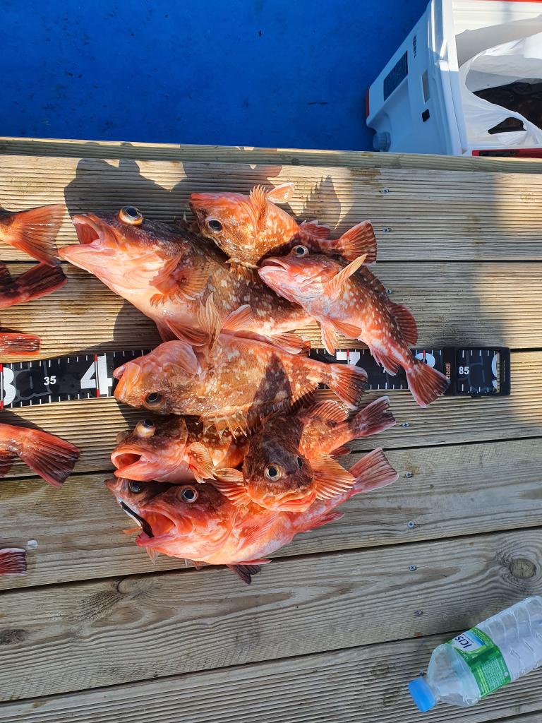 낚시뚜,,서망항,뻥쟁이호,낚시뚜10