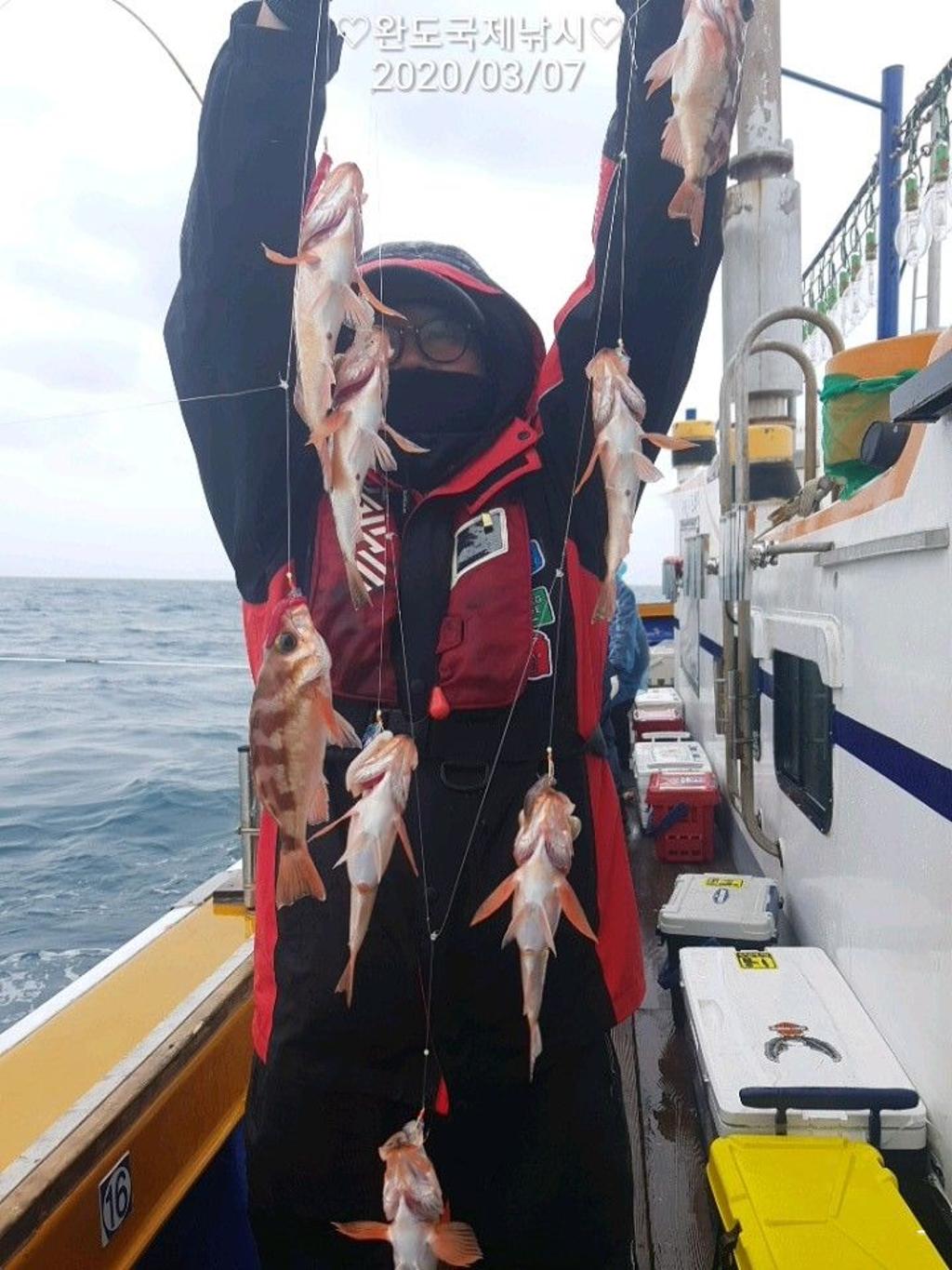 낚시뚜,열기,완도항,완도국제낚시,낚시뚜1