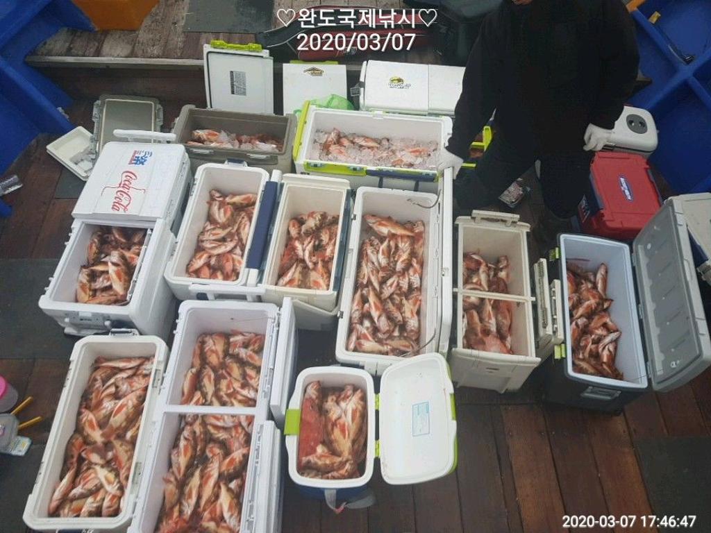 낚시뚜,열기,완도항,완도국제낚시,낚시뚜2