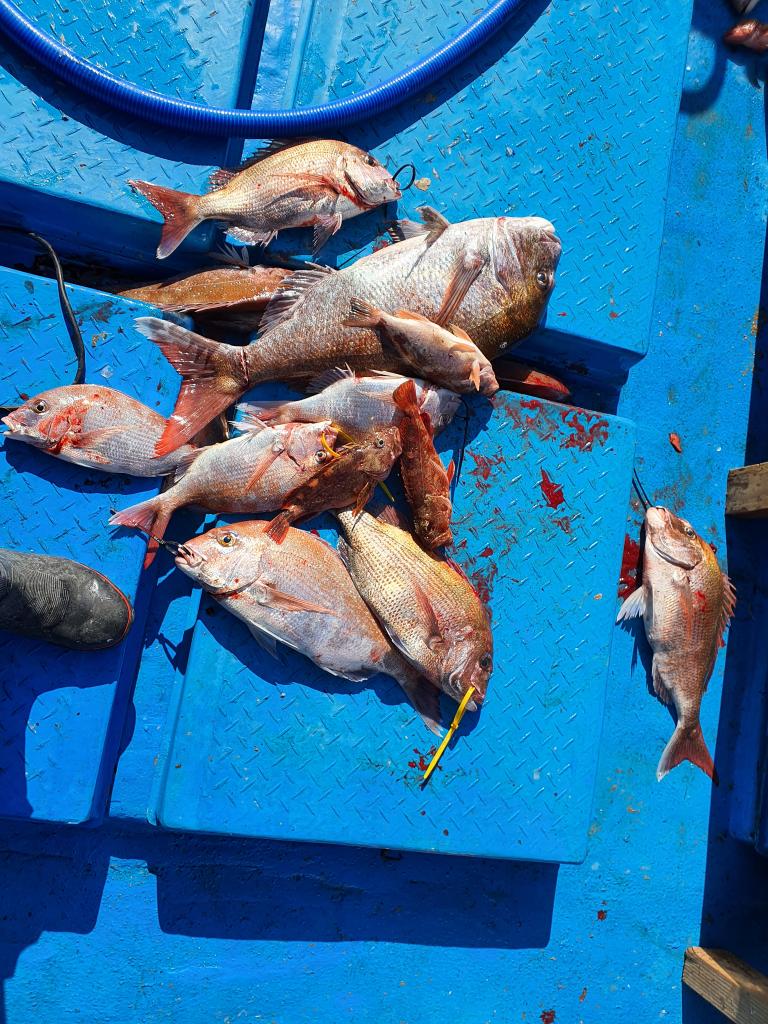 낚시뚜,,서망항,뻥쟁이호,낚시뚜0