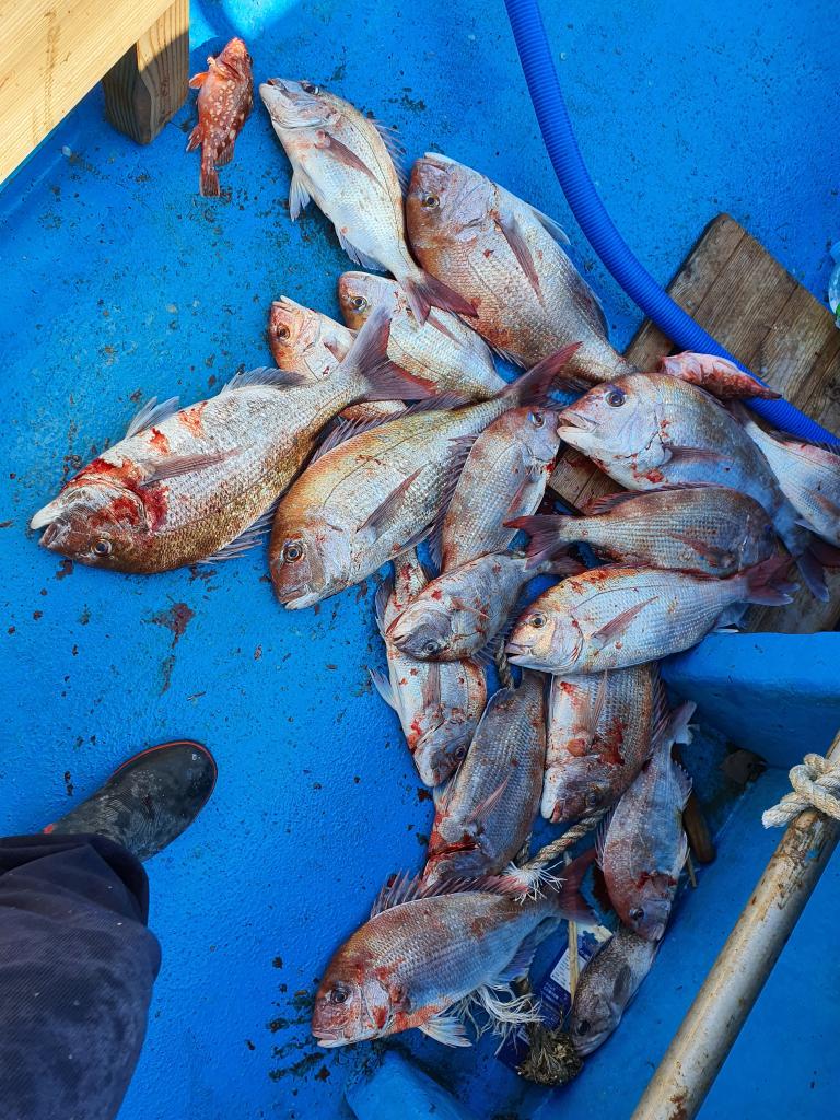 낚시뚜,,서망항,뻥쟁이호,낚시뚜1