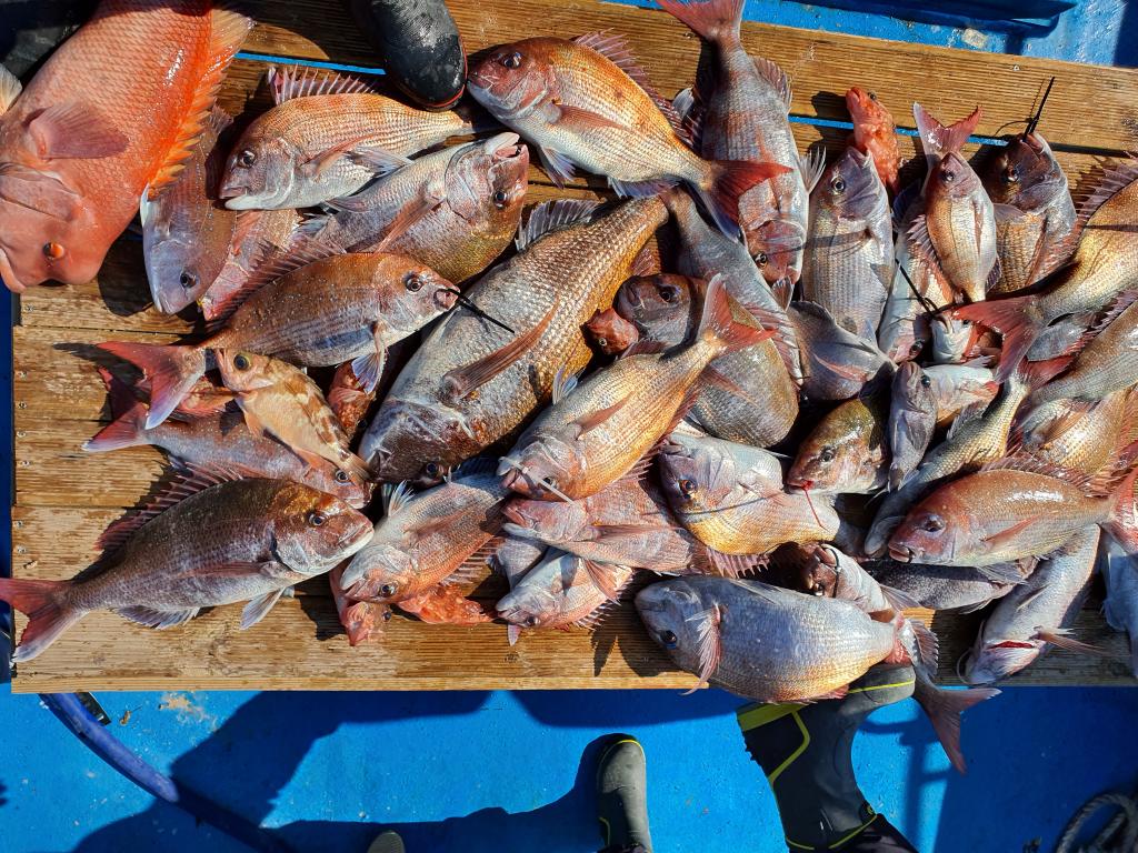낚시뚜,,서망항,뻥쟁이호,낚시뚜2