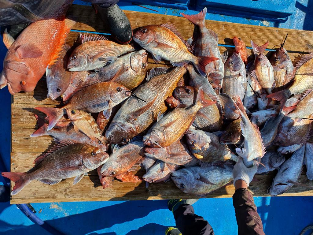 낚시뚜,,서망항,뻥쟁이호,낚시뚜3