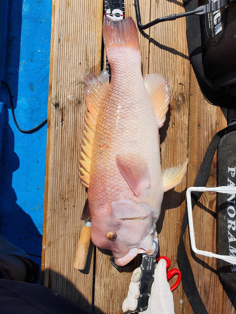 낚시뚜,,서망항,뻥쟁이호,낚시뚜5