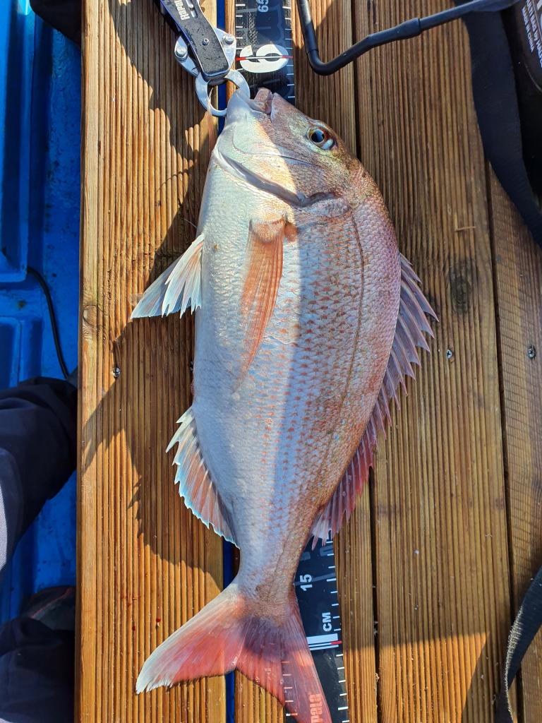 낚시뚜,,서망항,뻥쟁이호,낚시뚜8