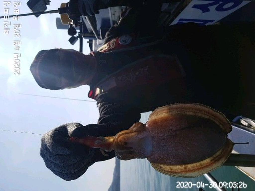 낚시뚜,갑오징어,대방항,레전드피싱,낚시뚜2
