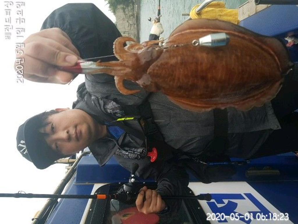 낚시뚜,갑오징어,대방항,레전드피싱,낚시뚜1