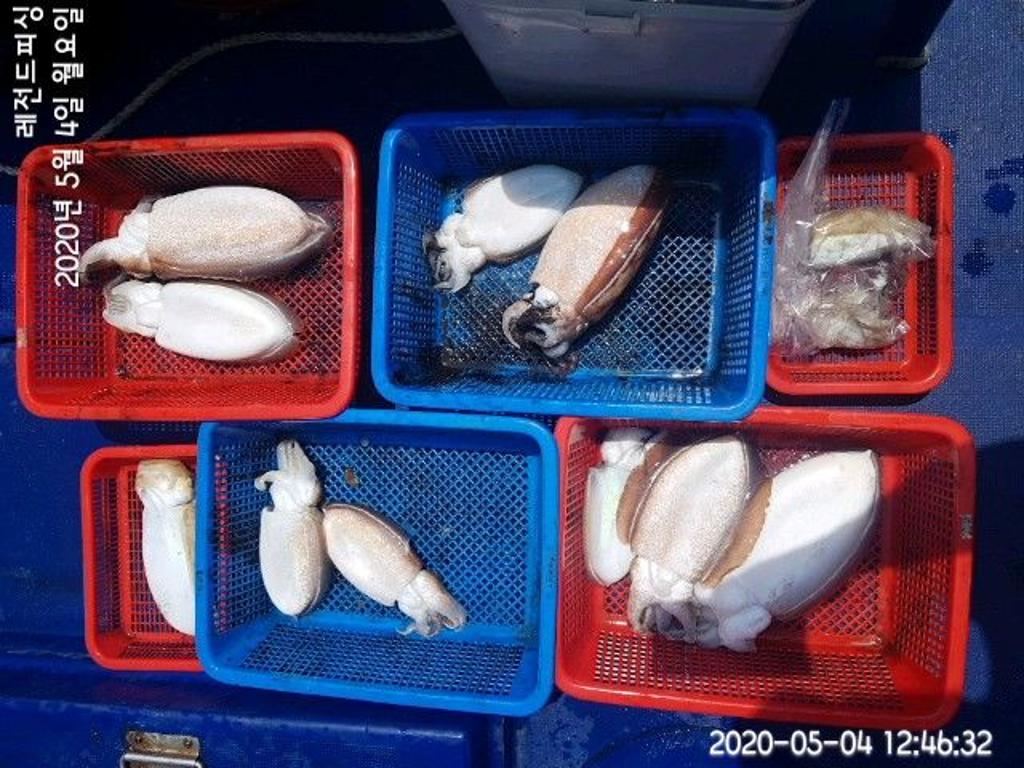 낚시뚜,갑오징어,대방항,레전드피싱,낚시뚜5