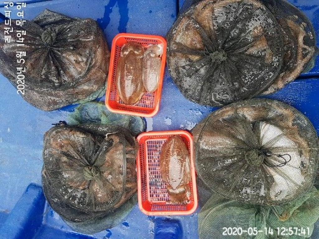 낚시뚜,갑오징어,돌문어,대방항,레전드피싱,낚시뚜6