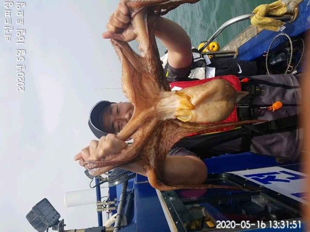 낚시뚜,갑오징어,돌문어,대방항,레전드피싱,낚시뚜8