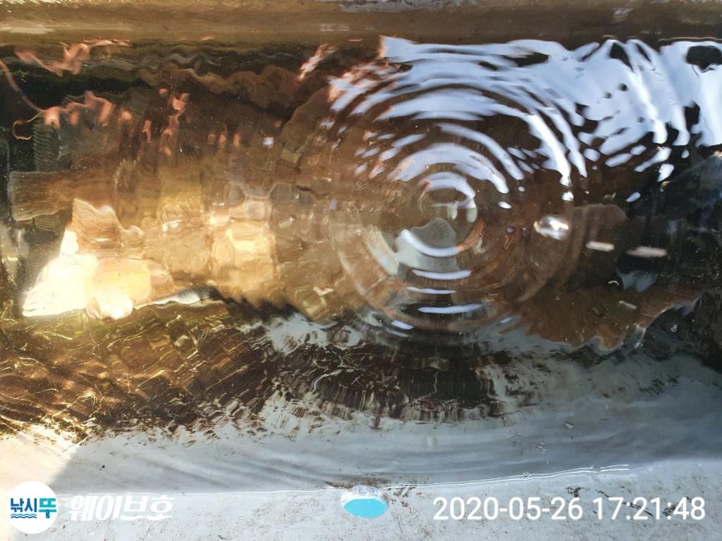 낚시뚜,도다리,가자미,구룡포항,구룡포 웨이브호,낚시뚜11