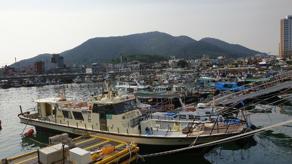 삼천포 블랙스타