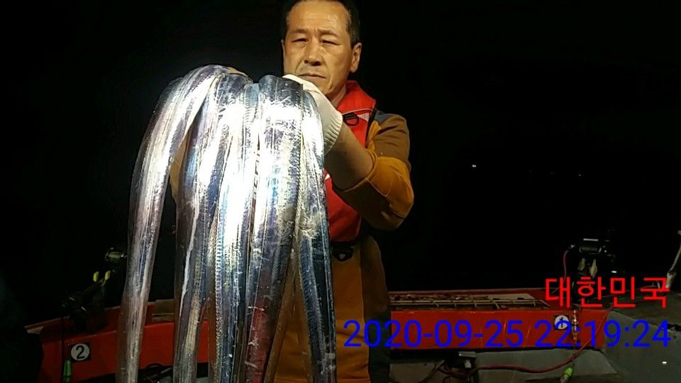 낚시뚜,갈치,국동항,여수 비너스호,낚시뚜39