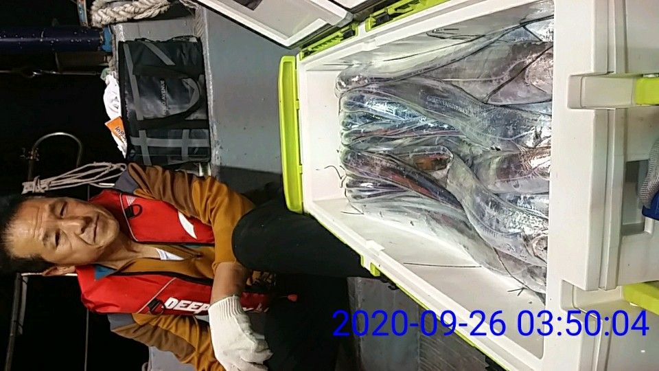낚시뚜,갈치,국동항,여수 비너스호,낚시뚜31