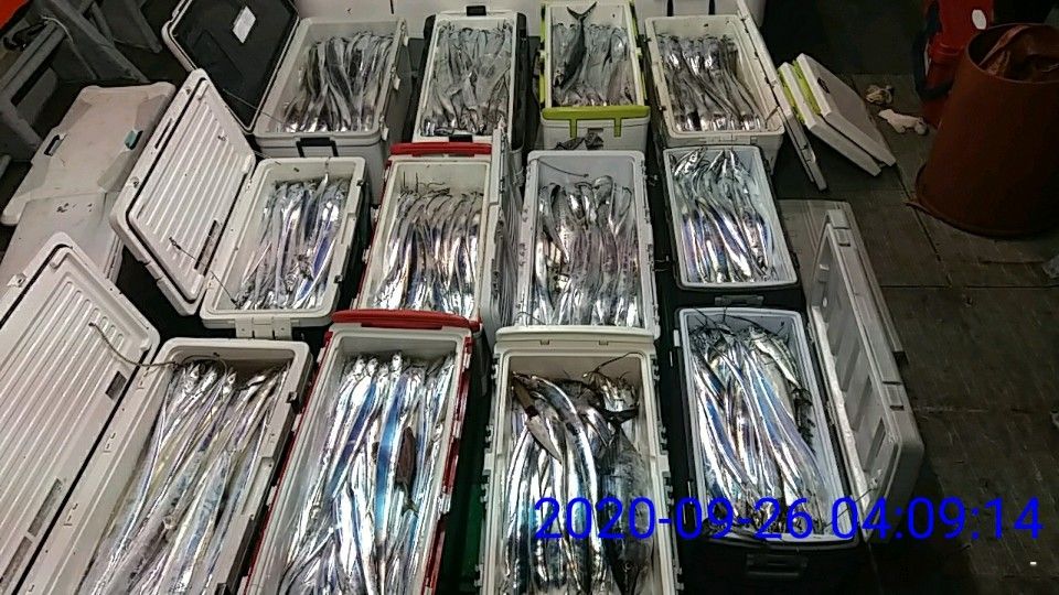 낚시뚜,갈치,국동항,여수 비너스호,낚시뚜19