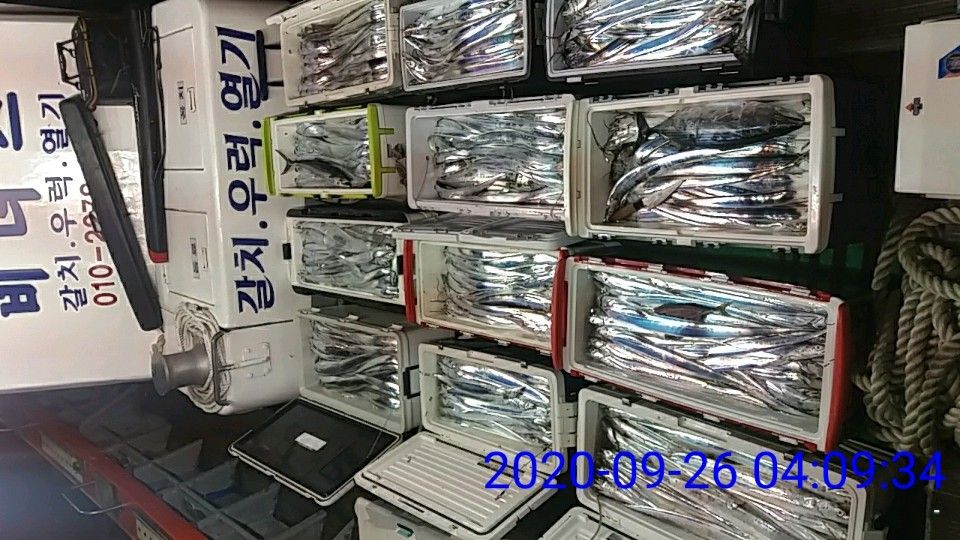 낚시뚜,갈치,국동항,여수 비너스호,낚시뚜23